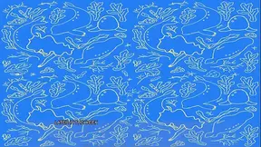 The Selkie (part 4)