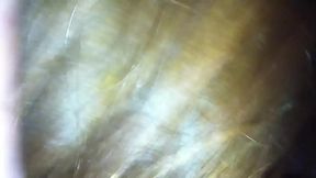 IMG 6833.MOV