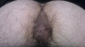 Hairy Ass View & Fart