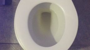 I PISS GOLD IN MY TOILET EVERYDAY I WISH FOR MONEY