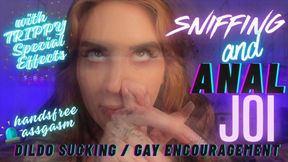 Handsfree Assgasm JOI with Dildo Sucking Instructions and Gay Encouragement with Sniffing Instructions and Special Effects
