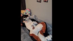 @AngryBarks from the Pioneer's office instructs your how to milk your puppy bf ‍