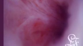 swim through my dick when i cum!