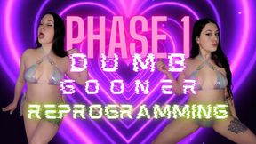 Dumb Gooner Reprogramming - Phase 1