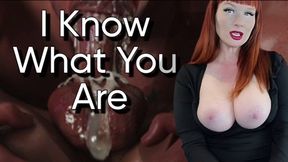 I Know What You Are 640x480 WMV