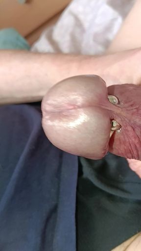 Mature Man's Veined Cock Masturbation
