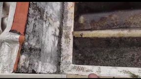 After Gym, Pissing on the Neighbor's Roof