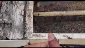 After Gym, Pissing on the Neighbor's Roof