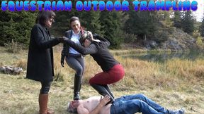 LADY SCARLET - EQUESTRIAN OUTDOOR TRAMPLING hd