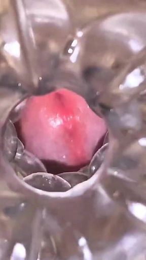 Close-up Cock in Tool for Masturbate Orgasm on Flash
