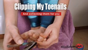 Clipping my Long Toenails and Collecting Them For You - Nail Toes and Foot Fetish - MissBohemianX - WMV