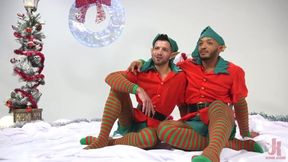 Casey, Dillon & Sebastian - Impish Lil' Elves