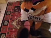 Furries 2022
