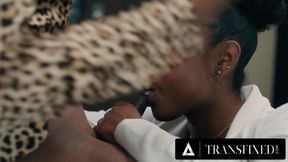 Trans Babe Creampies Her Boss's Pussy