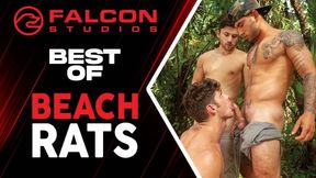 Beach boys compilation with wet and hard fucking