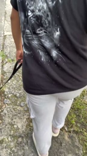 Pasos entre árboles, secretos entre paredes