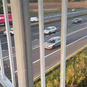 Boyfriend fucks girlfriend on uk motorway bridge