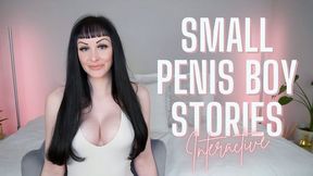 Small Penis Boy Stories - Interactive Task (WMV HD)