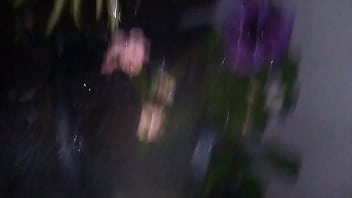 Es normal sentir la necesidad de regar mis plantas sin importar la hora? O de plano estoy viejo