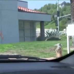 Busty Blonde Gets Her Juicy Pussy Rubbed and Fucked by Lucky Pervert