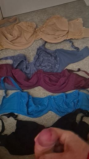 Wanking over my 34gg sister in laws bras