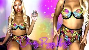 Chastity Paypig Lifestyle