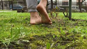 DIRTY FEET WALKING ON GRASS - MP4 HD