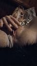 Demons Rubs Her Wet Pussy Clip 3