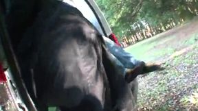 Emi's Mature Sky Show - Hot Bull Play Thrills Fans Amidst Chilly Winds