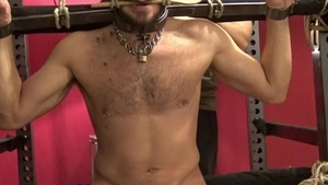 restrain bondage Haircut And cook milking