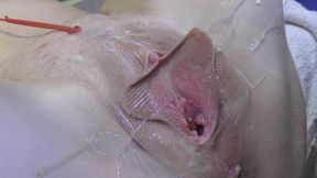 3 Licking Pussy Spread Far From Very Close