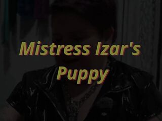 Pet Play Praise and pet Collar Training