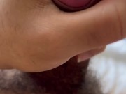 Maple Bear Strokes His Hairy Dick and Blows a Huge Load