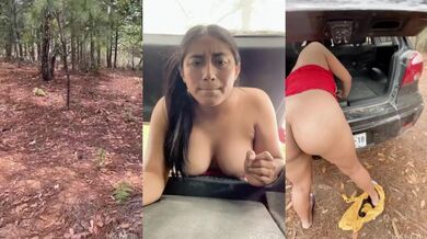 I go to the woods for firewood and I get stuck in the car and a lumberjack who was passing by helps me like this