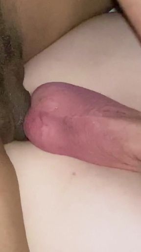 Brazilian Shemale Big Dick