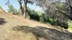 Stranger’s Secret Passage Helped Me Out of the Forest