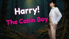 Meet Harry, a scrappy young rent-boy eager for work and willing to do anything to survive.