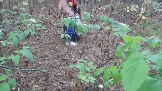 &nbsp;one girl pissed in the forest and how the second girl gave her cunnilingus