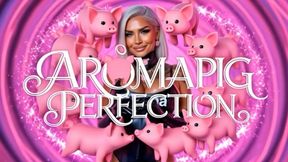 AROMA PIG PERFECTION