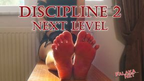 Discipline 2