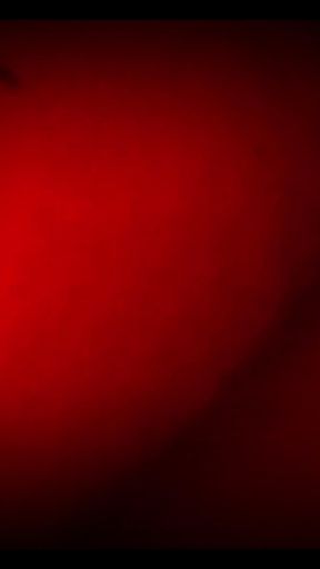 Khmer sex   Call Mrs. Kitty visit behind the house to eat and sex with (December 28, 2025)   Clip 1