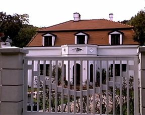 Viennese Embers Part 3