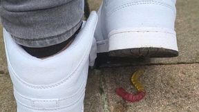 Sneakers crush gummy worm