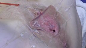 3 Licking Pussy Spread Far From Very Close