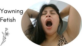 My mouth open for you, yawning nonstop