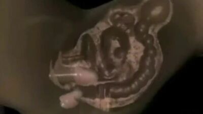 Black Power 2 - BBC PMV by Curva71