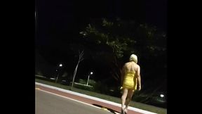 V&iacute_deo de verifica&ccedil_&atilde_o