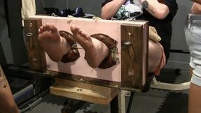 Pinky's "Ride" gets in the stocks! " OMG, i must be crazy, my feet are way too ticklish for this !!LOL"