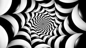 Audio only - Condition your mind to be a better pig