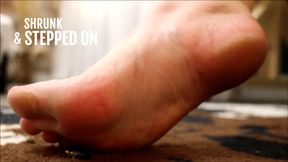 SHRUNK AND STEPPED ON